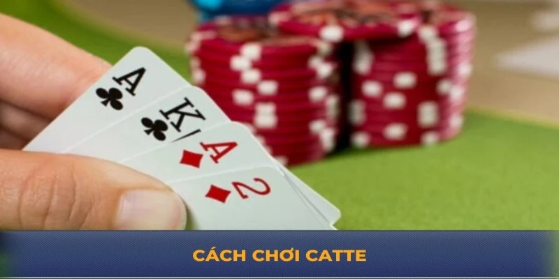 Cách chơi Catte từ Good88