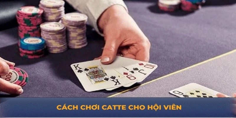 Cách chơi catte – Hướng dẫn chi tiết và chiến lược từ Good88 Cách chơi catte cho hội viên từ Good88