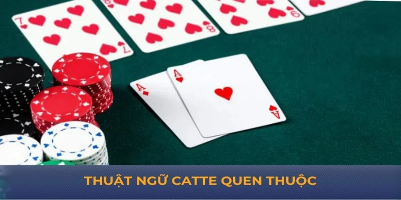 Cách chơi catte – Hướng dẫn chi tiết và chiến lược từ Good88 Thuật ngữ catte quen thuộc